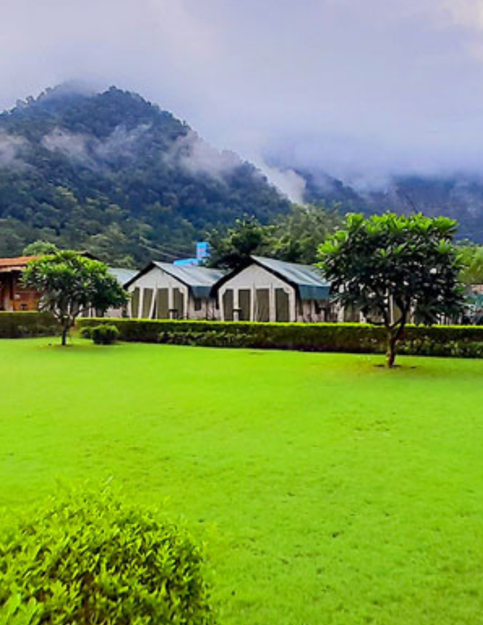 prefab resort cottages with garden